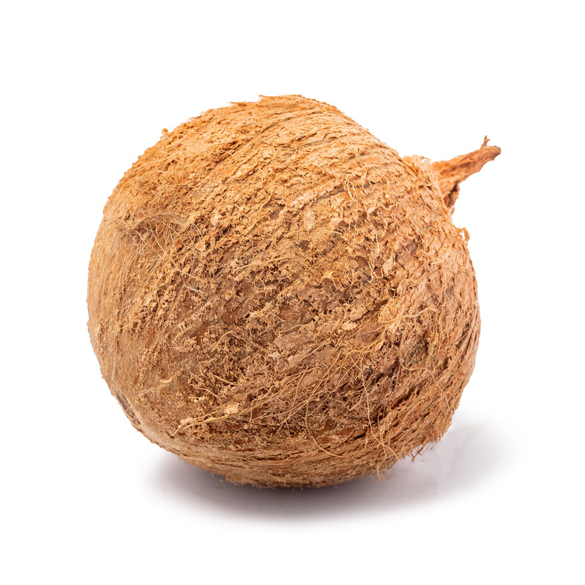 Fresh Brown Coconut Ea