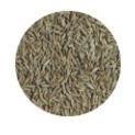 SWAD Cumin Seeds 14oz