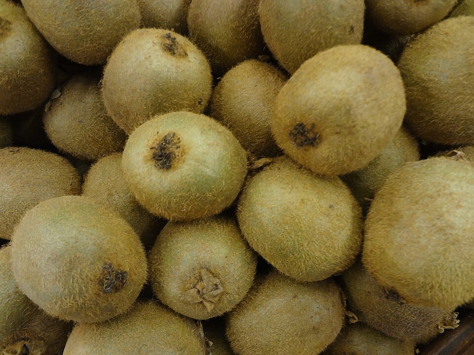 Fresh Kiwi Fruit ea