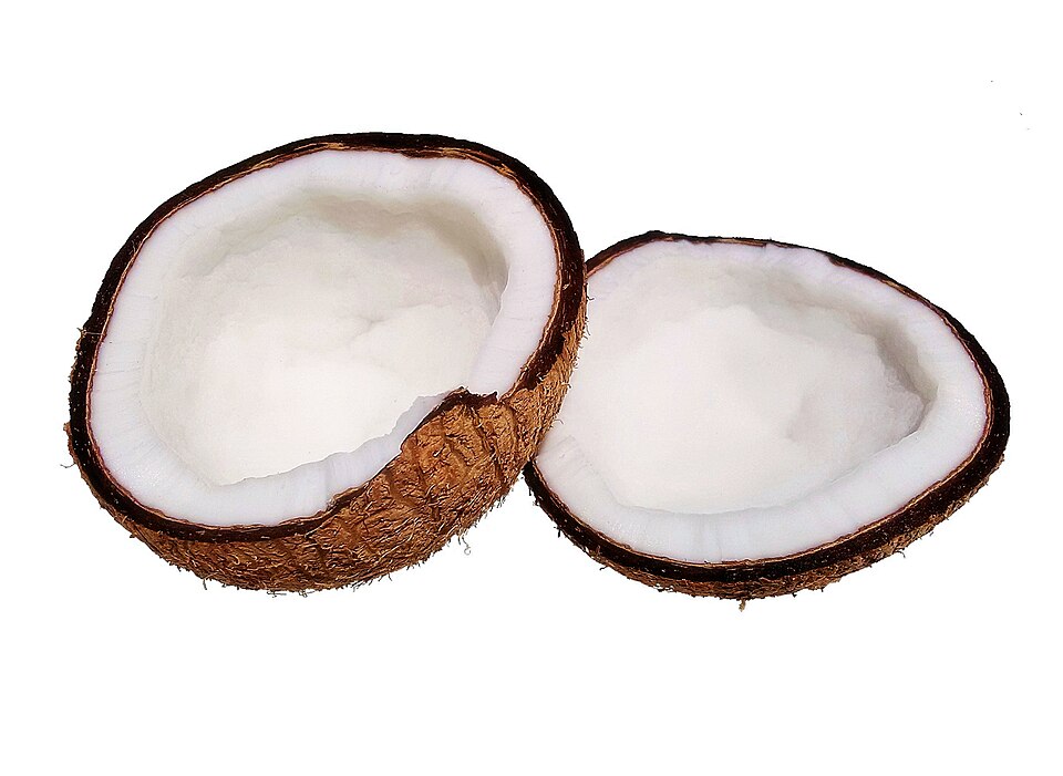 Fresh White Coconut ea