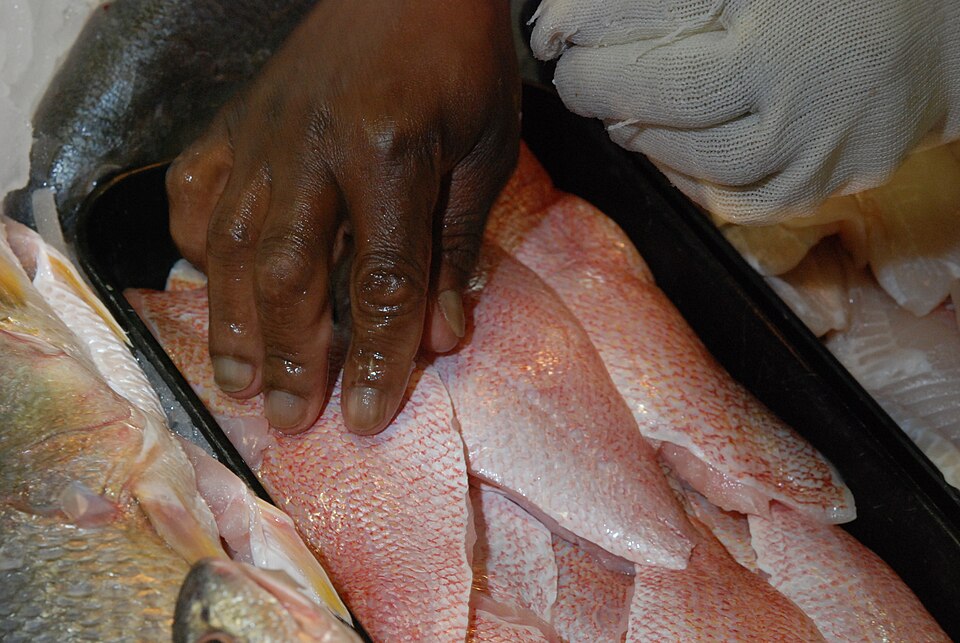 Red snapper Fillet