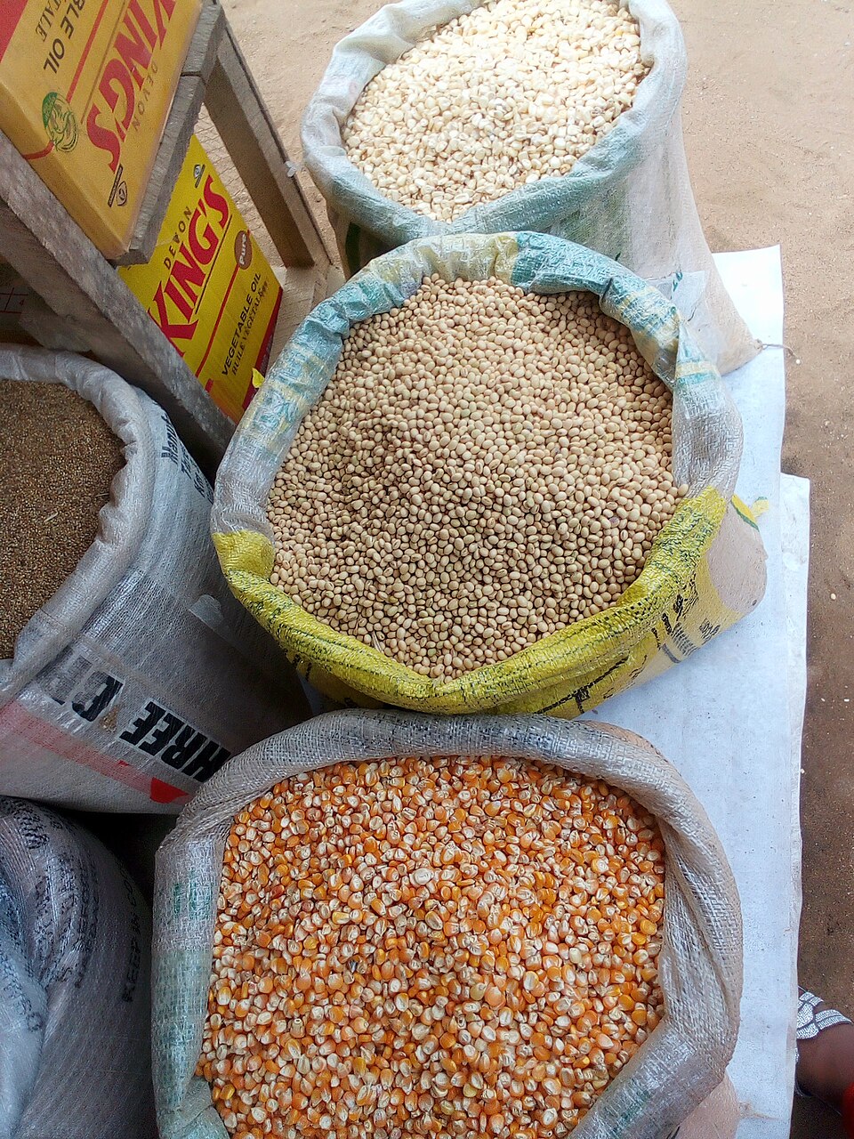 Fresh Yellow Corn