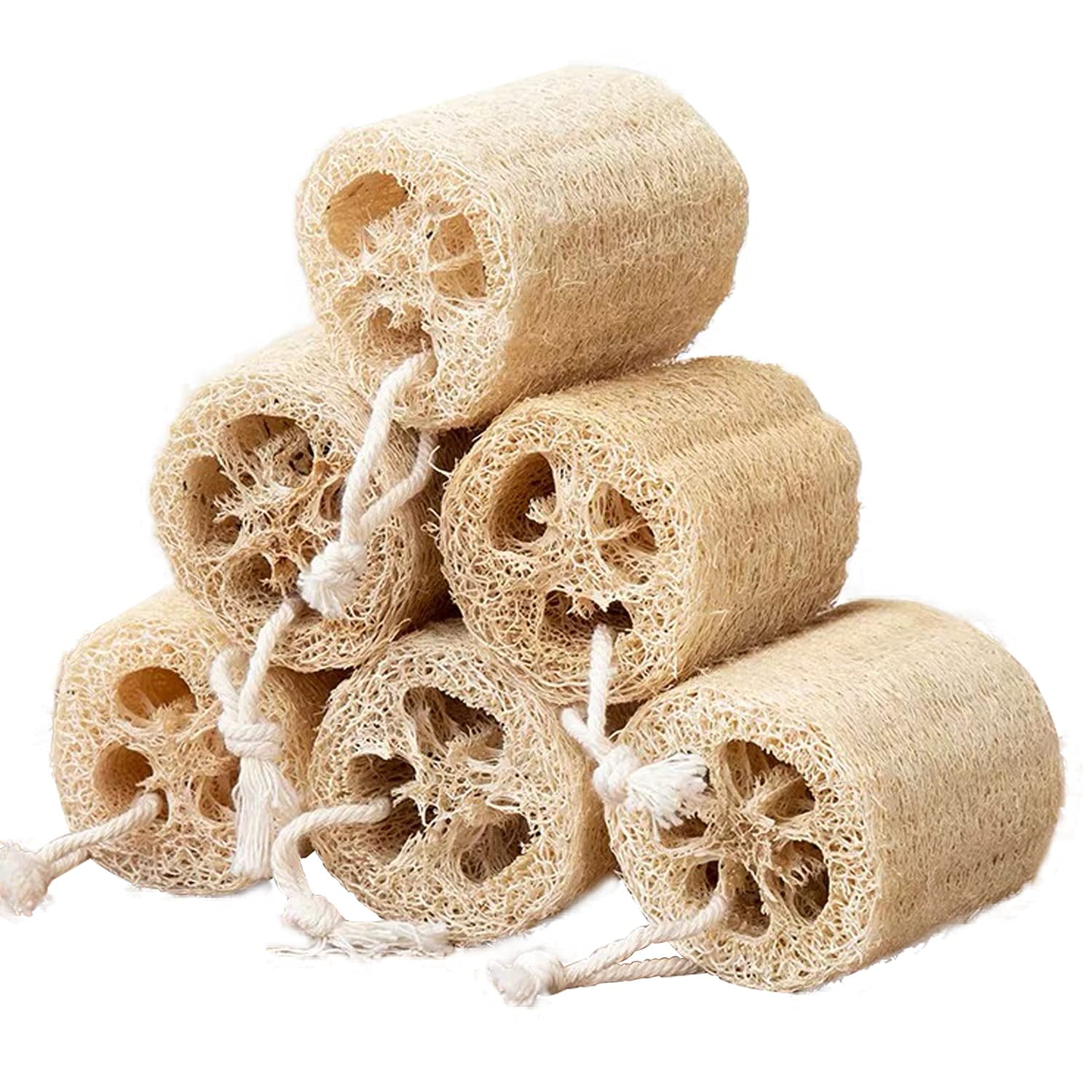 Loofah Sponge