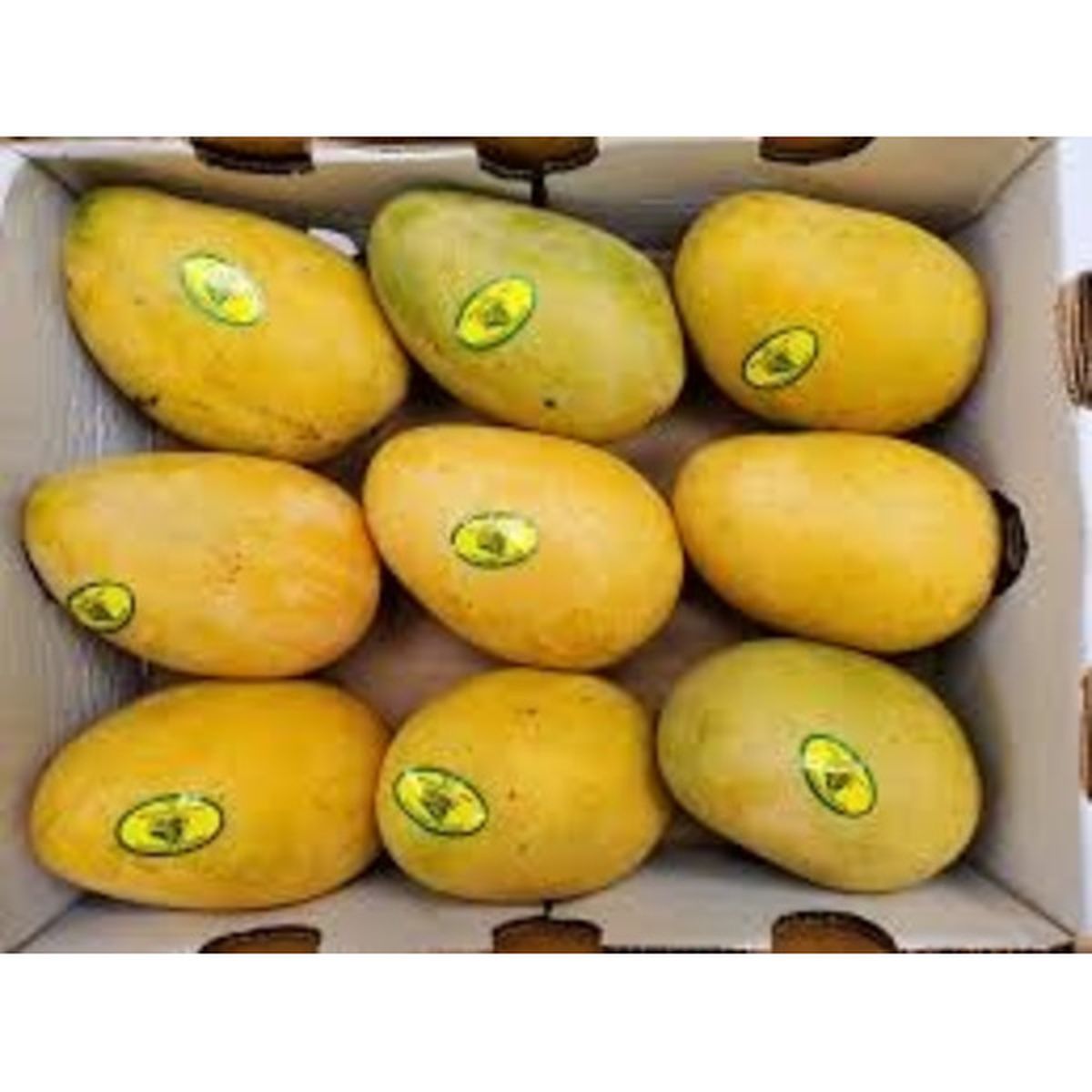 Mango Mingolo ea